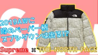 【2019AW】Supreme × The North Face Paper Nuptse Jacket 12月 